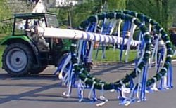 Aufstellen des Maibaumes