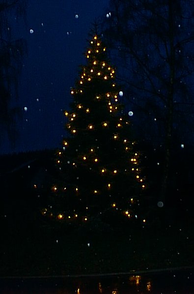 Der Längenauer Weihnachtsbaum