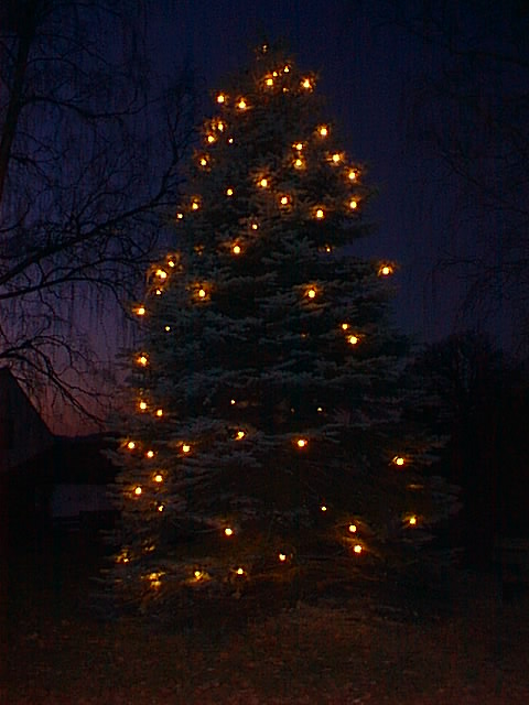 Der Längenauer Weihnachtsbaum