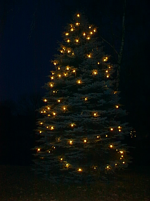 Der Längenauer Weihnachtsbaum