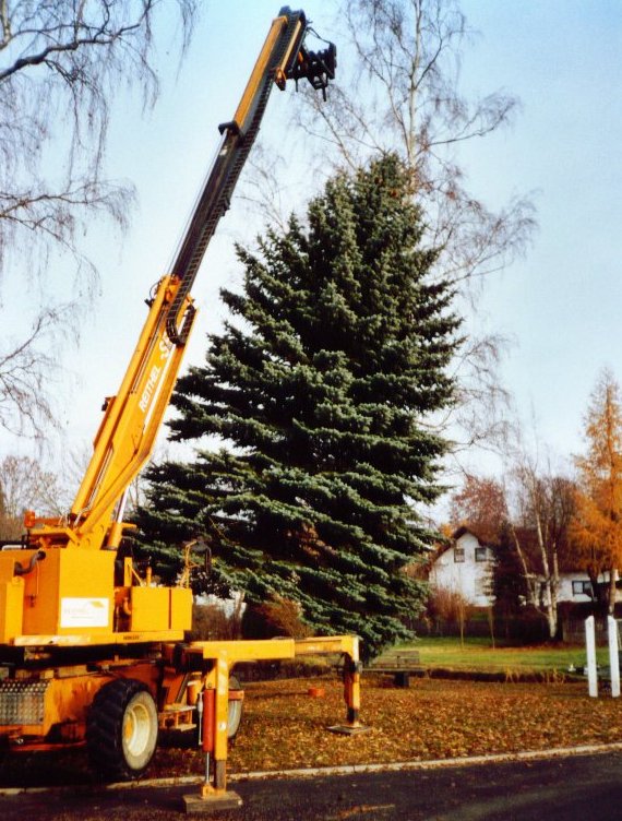 Der Längenauer Weihnachtsbaum