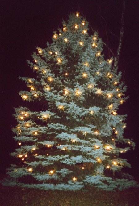 Der Längenauer Weihnachtsbaum 2003