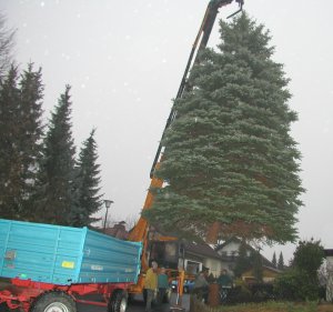 Der Längenauer Weihnachtsbaum 2004