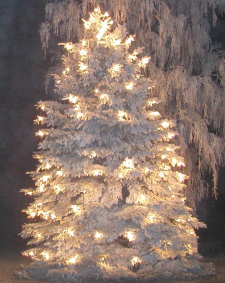 Der Längenauer Weihnachtsbaum 2004