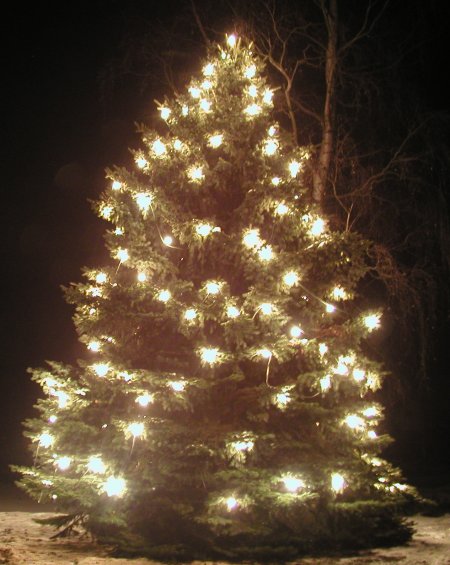 Der Längenauer Weihnachtsbaum 2005