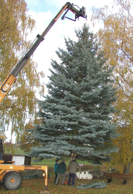 Der Längenauer Weihnachtsbaum 2006