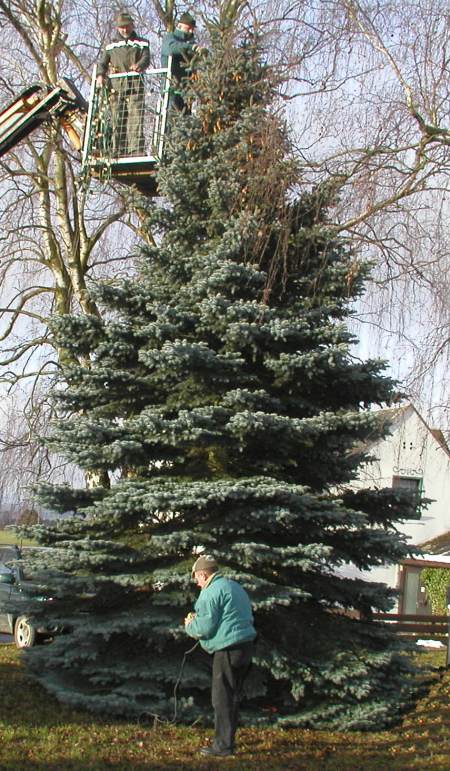 Der Längenauer Weihnachtsbaum 2007