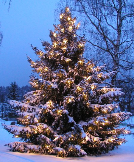 Der Längenauer Weihnachtsbaum 2008