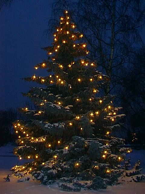 Heimatlicher Weihnachtsglanz Leuchtet Weltweit