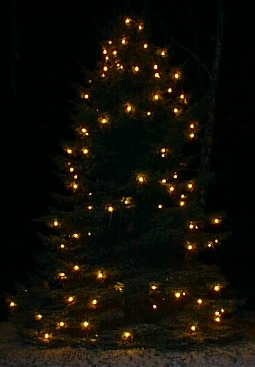 Der Längenauer Weihnachtsbaum