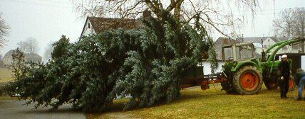 Der L&auml;ngenauer Weihnachtsbaum bei der Anlieferung